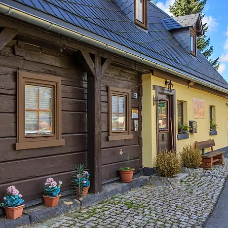 Sissi Mit Whirlpool, Sauna U Sehr Ruhig Holiday home Grossschoenau